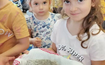 A kiskakas gyémánt félkrajcárja…